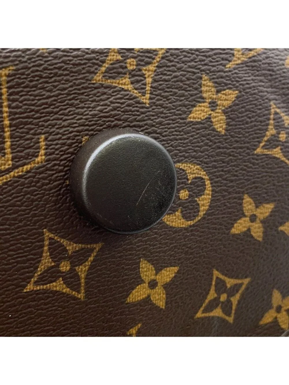 Louis Vuitton Carry Case Monogram Horizon Soft LV Golf 55 Trunk Travel